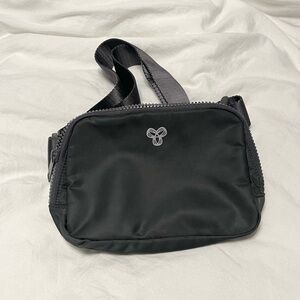 Aritzia TNA Crossbody Belt Bag